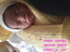 44岁大龄代妈超能取卵12个